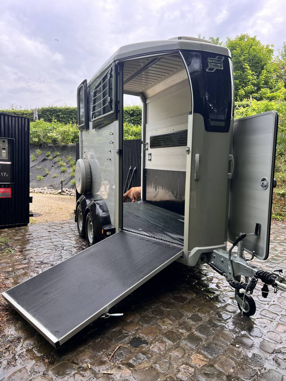 Van 1.5 Ifor Williams hbx403 2022 + camera/ecran