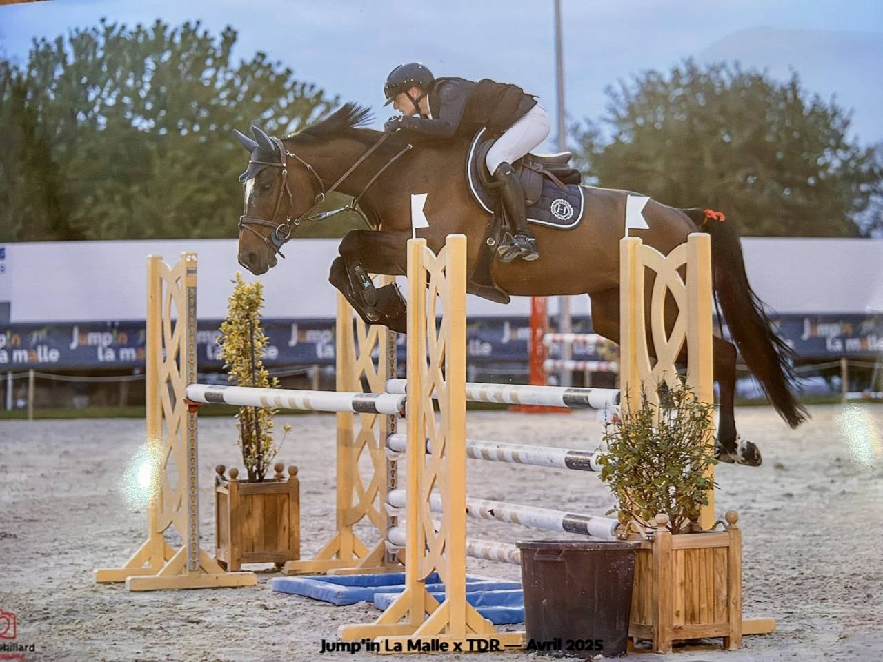 Jument SF 7 ans par KENO DU ROZEL