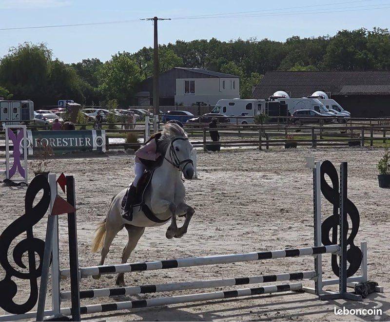 Ponette D 5 ans pour concours CSO et/ou Pony games 