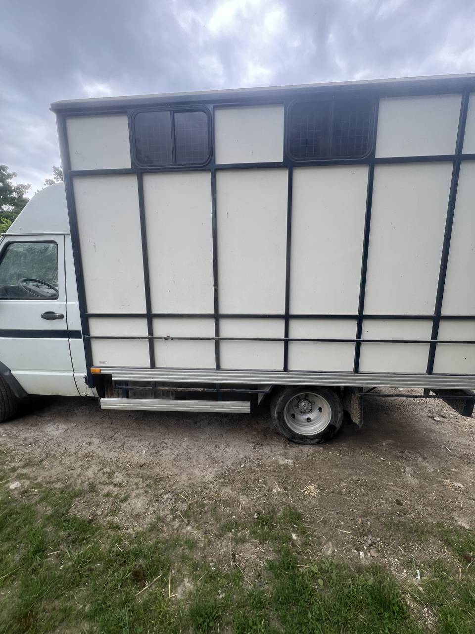 camion chevaux IVECO vente