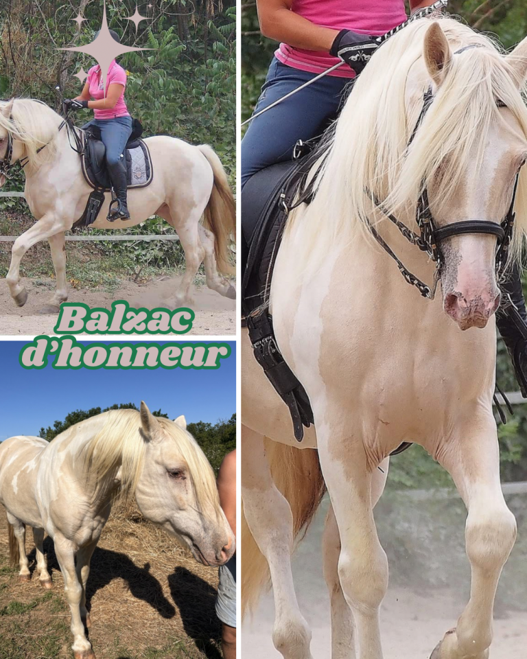 Saillie Balzac d&rsquo;honneur 