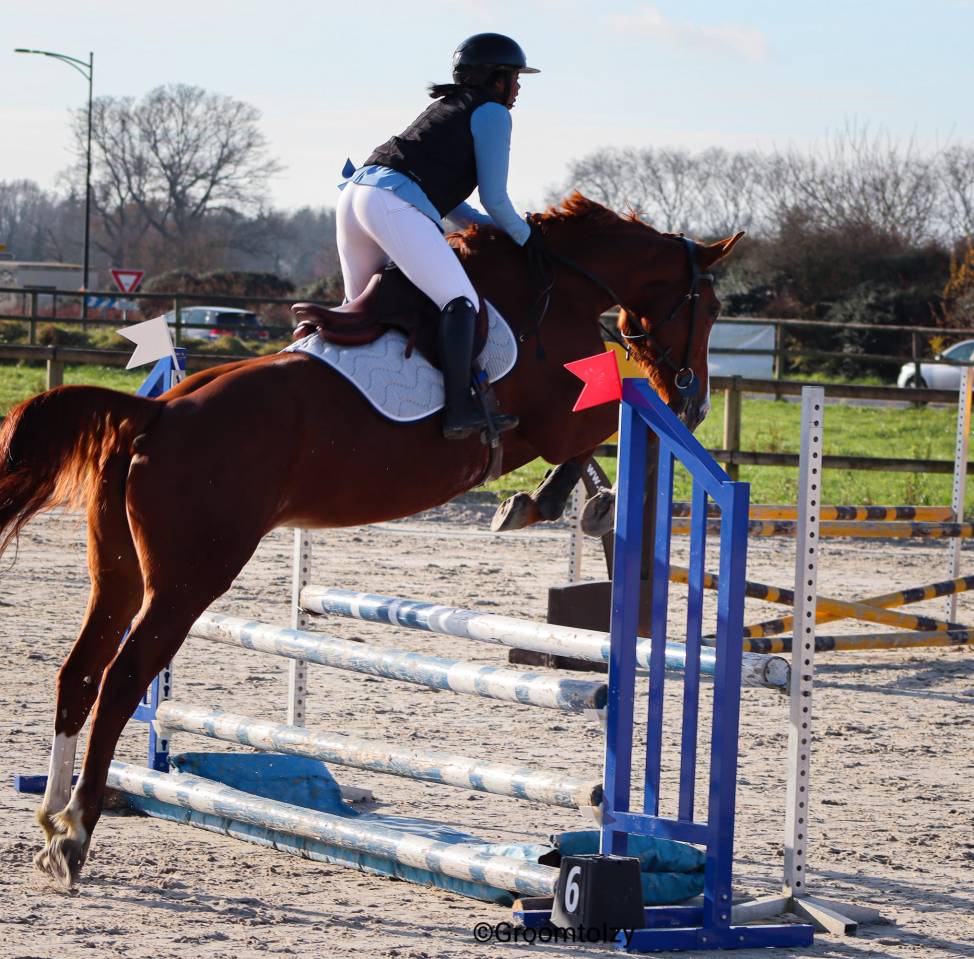 Jument de sport SF
