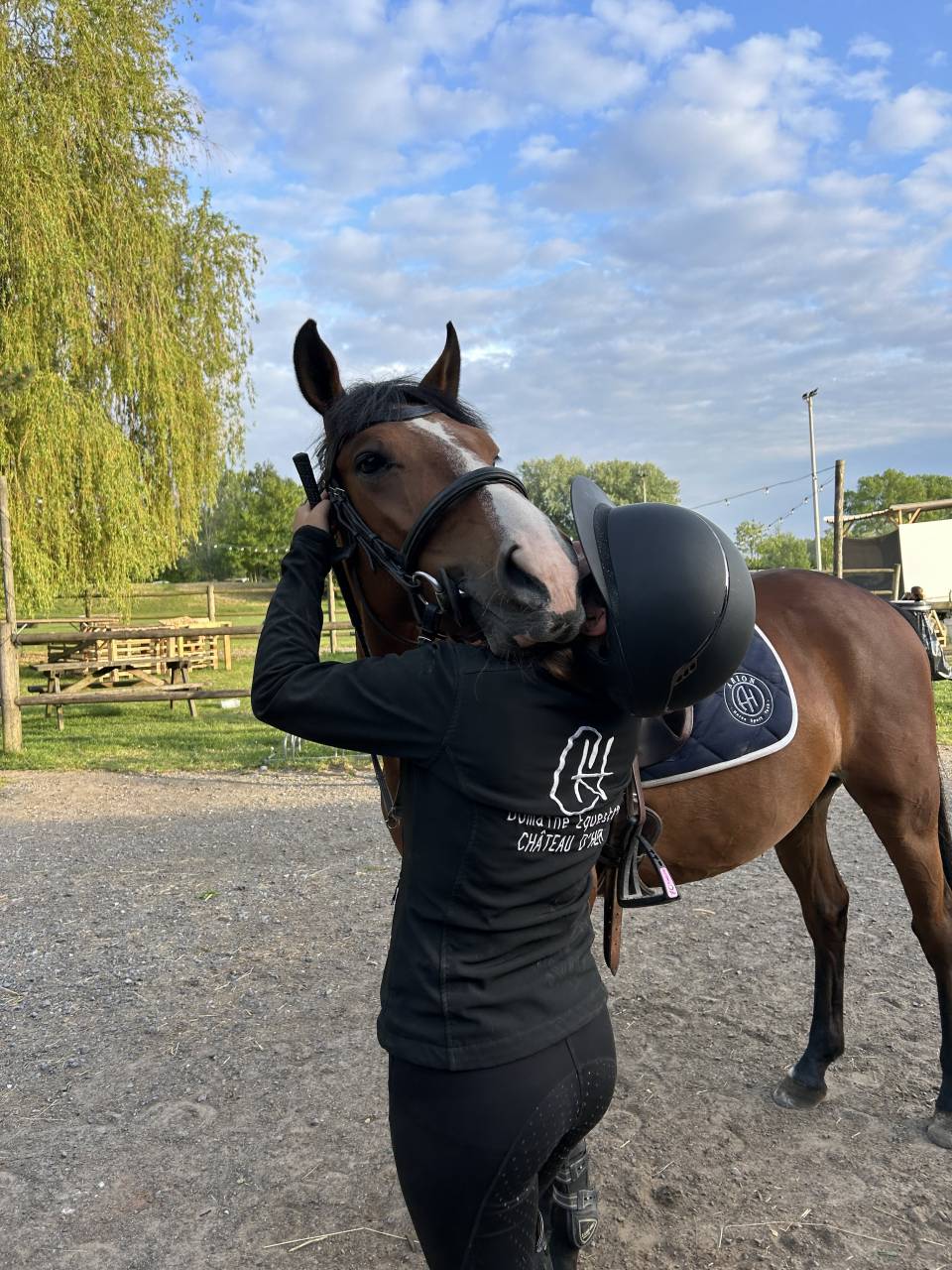 Poney D &agrave; vendre 