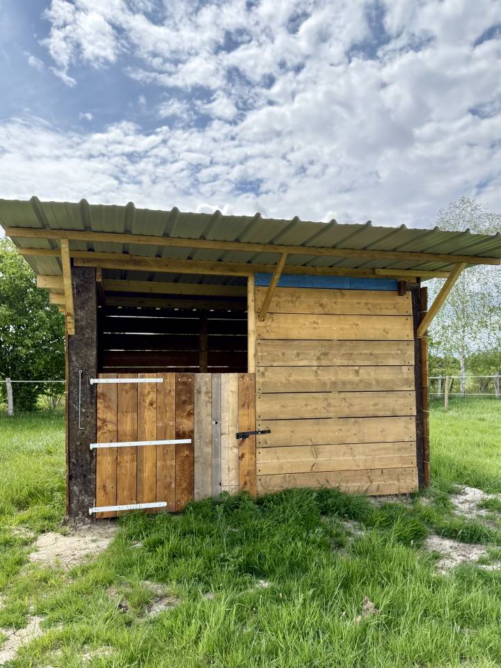 Pension chevaux Les Pr&eacute;s d'Emerald