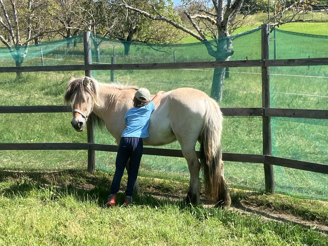 ENSEIGNANT D' EQUITATION