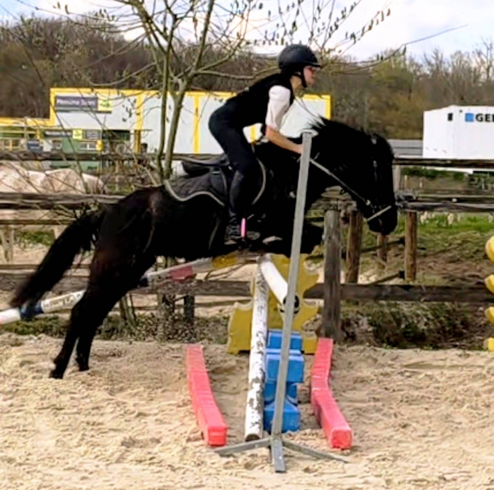 Ponette B