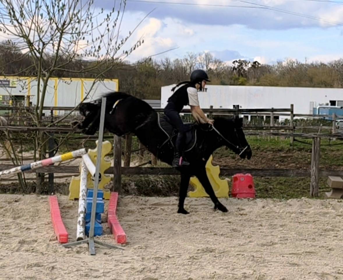 Ponette B