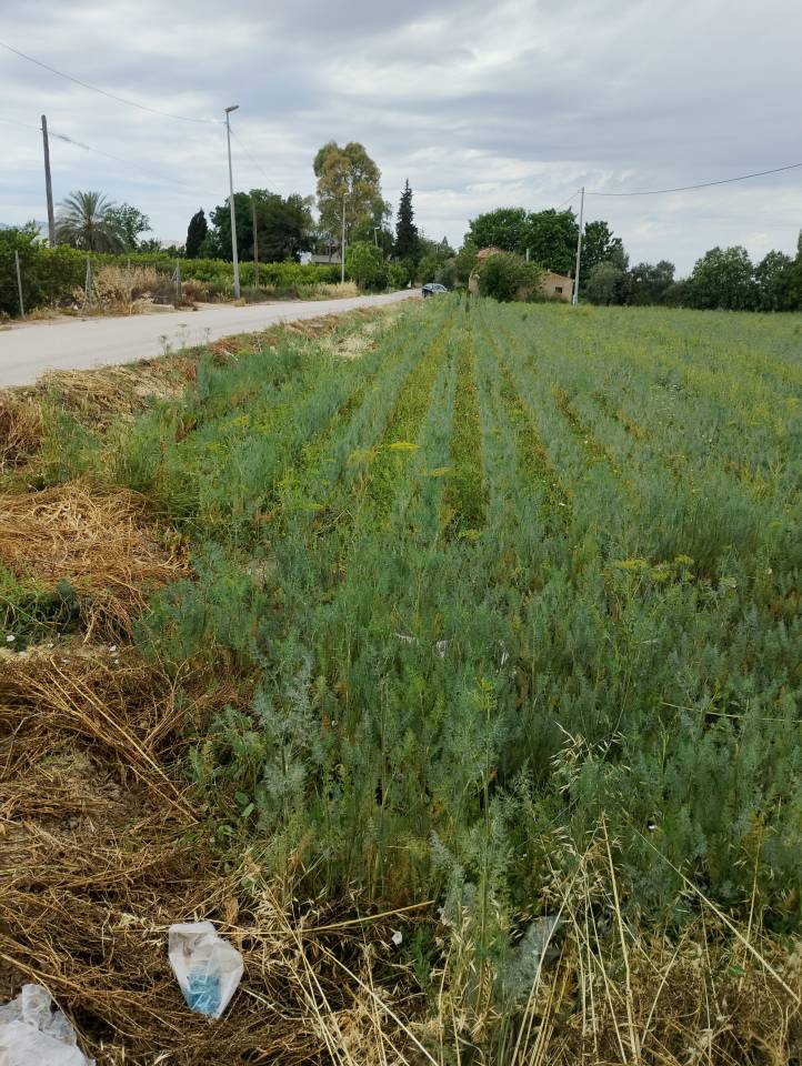Villas et terrains en Espagne Alicante y Murcia 
