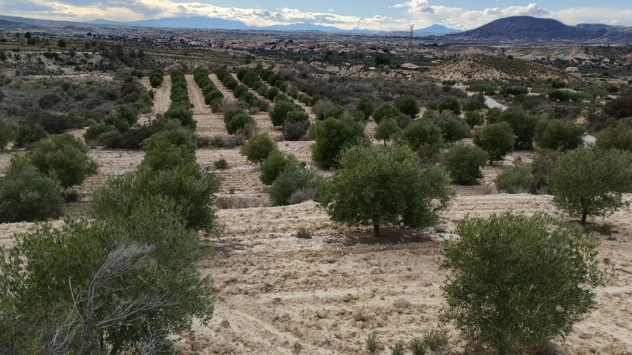 Villas et terrains en Espagne Alicante y Murcia 
