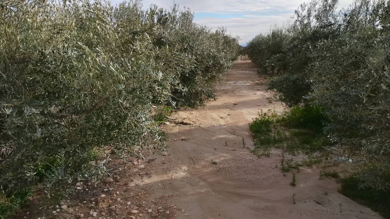 Villas et terrains en Espagne Alicante y Murcia 