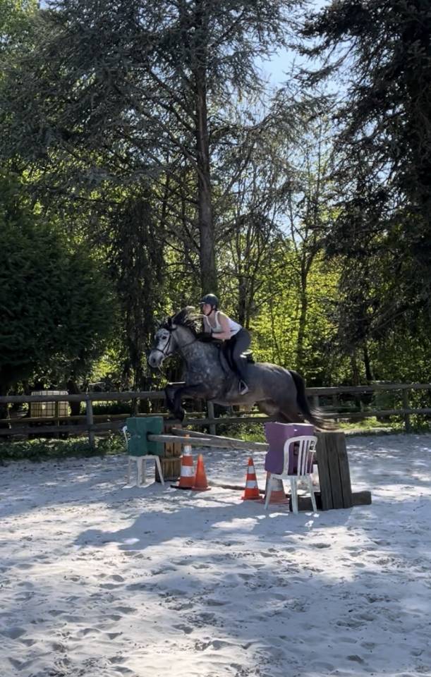 Gentil 6 ans polyvalent 