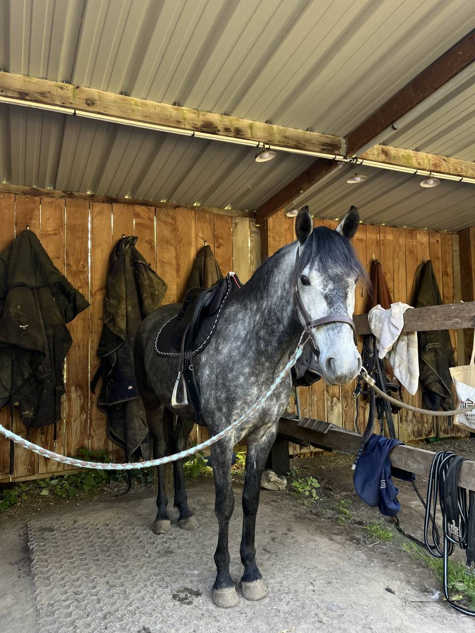 Gentil 6 ans polyvalent 