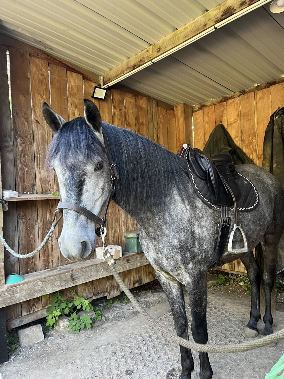 Gentil 6 ans polyvalent 