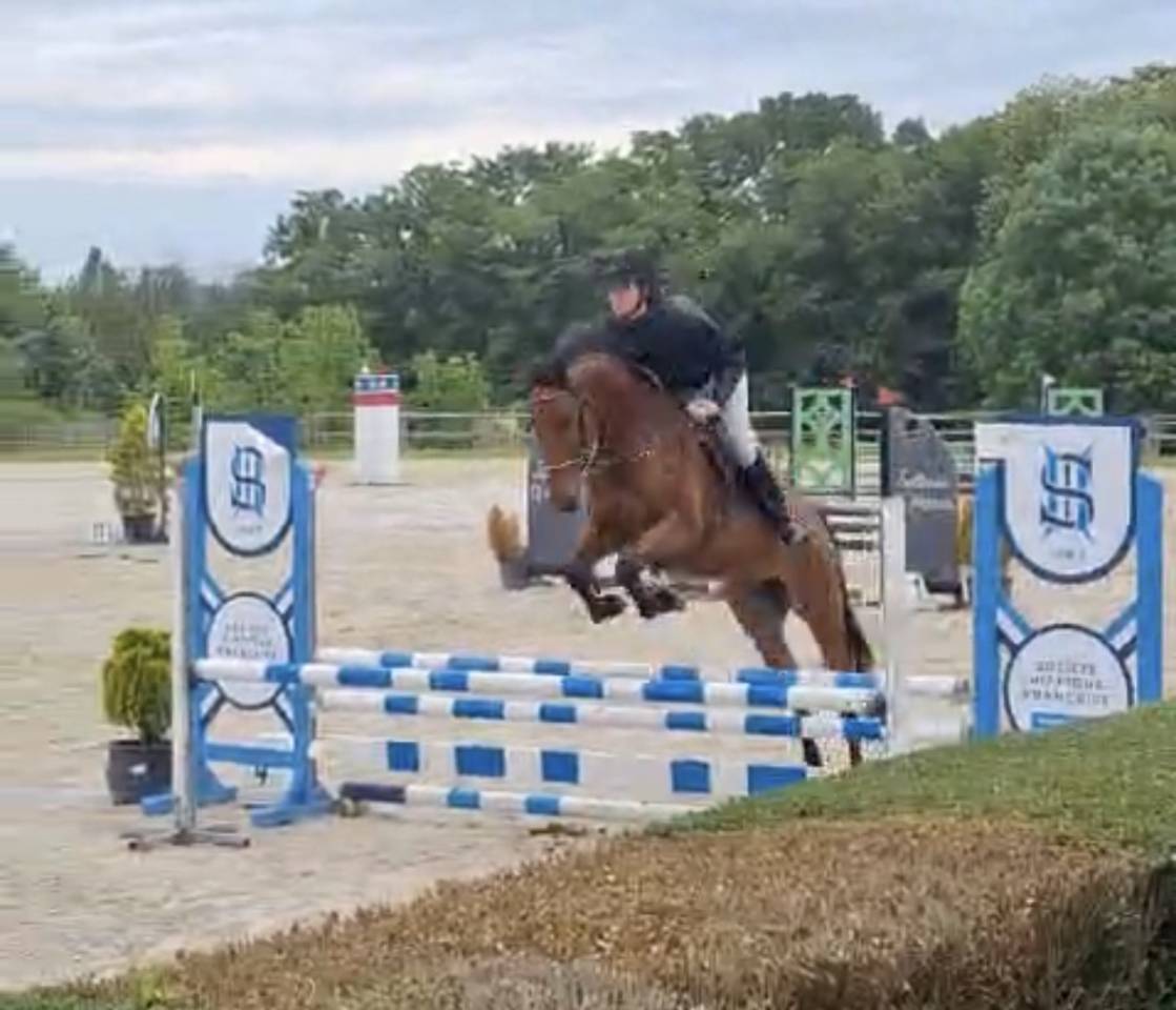 4ans pour amateur tr&egrave;s gentil 