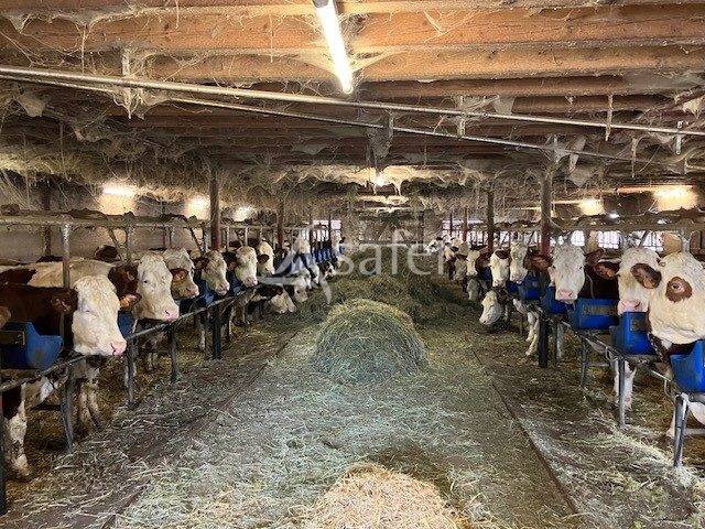 EXPLOITATION LAIT AOP Comt&eacute;