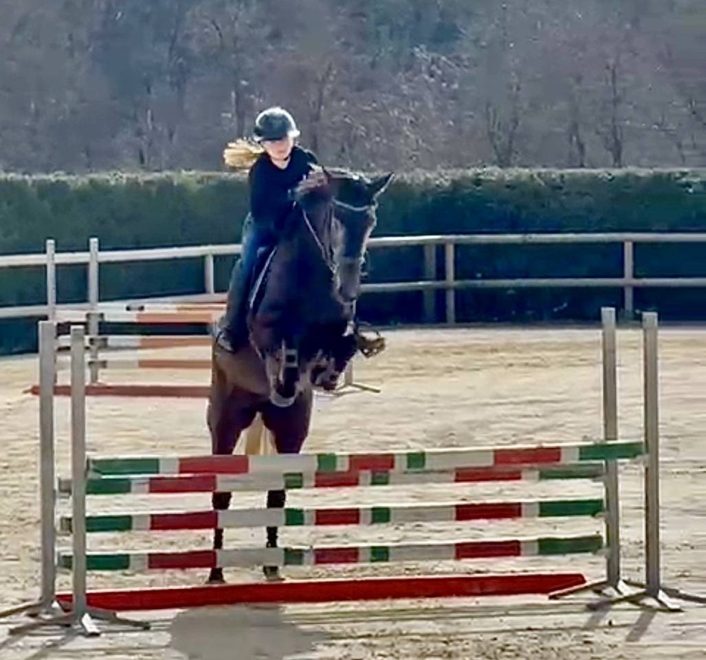 Jument SF top amateur