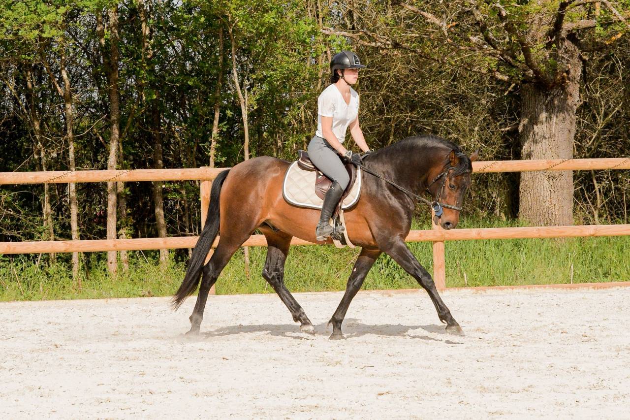 Sublime entier de 4 ans 