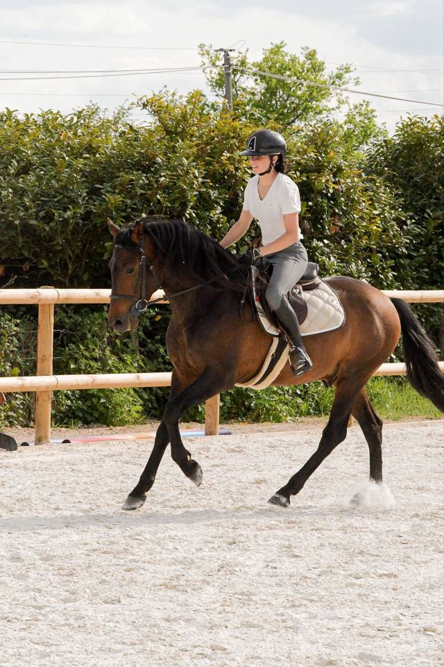 Sublime entier de 4 ans 