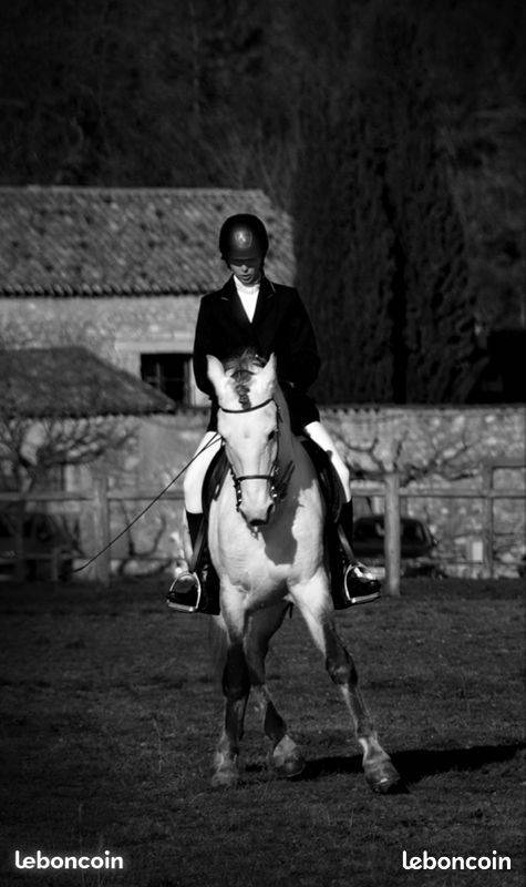 Monitrice d'&eacute;quitation de tradition fran&ccedil;aise