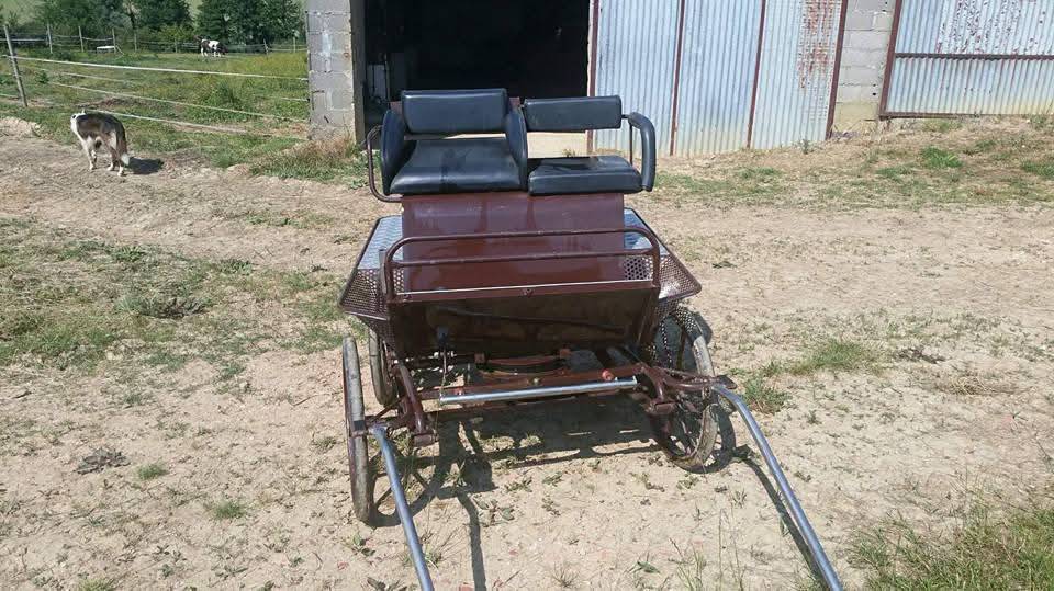 Marathon 4 roues poney