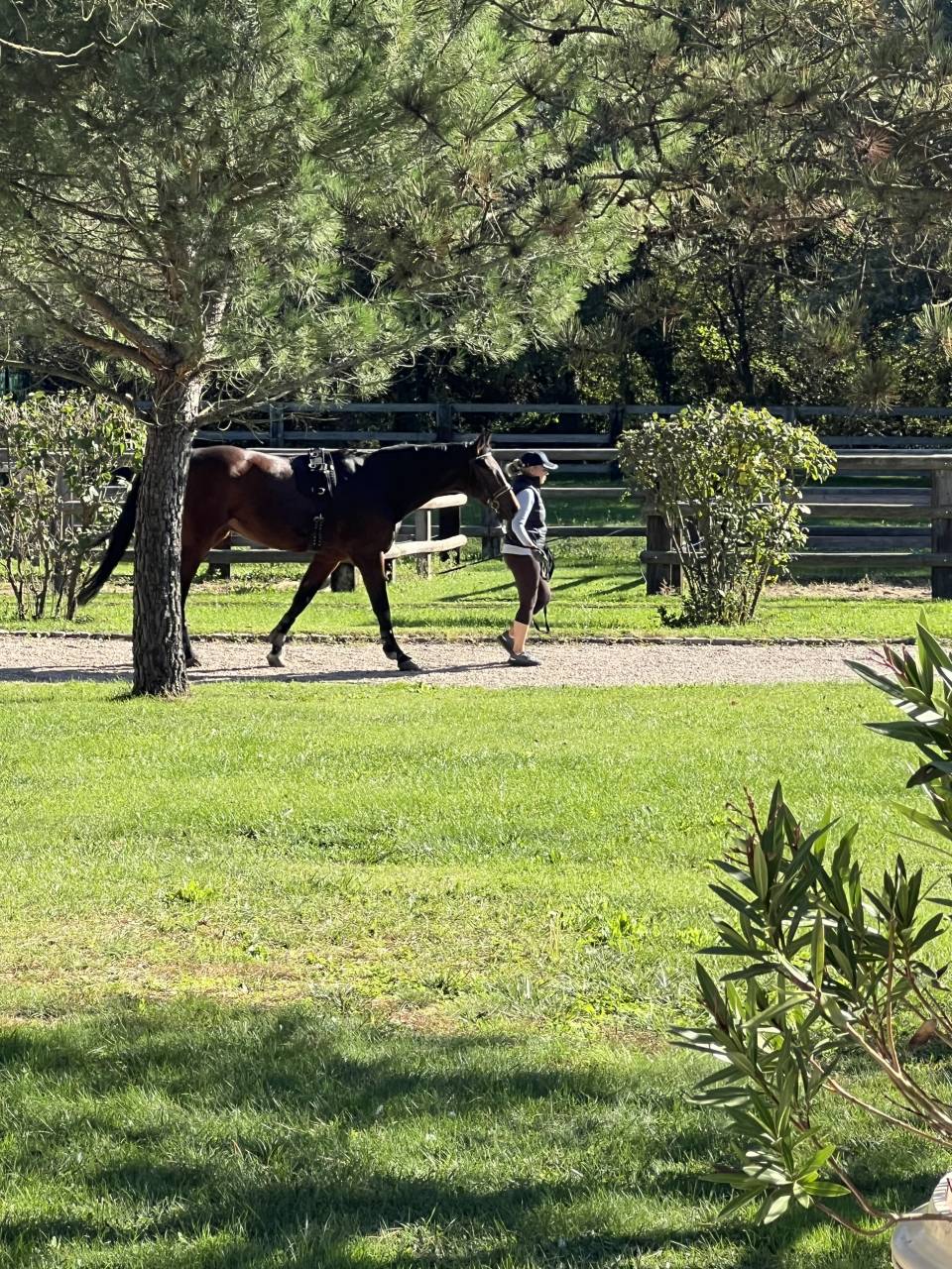 Aide &eacute;curie priv&eacute;e & chevaux