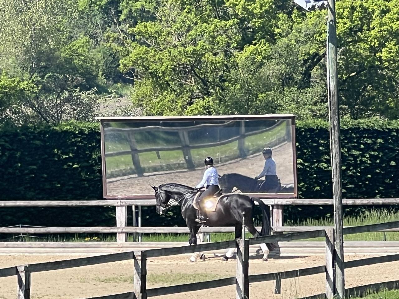 Aide &eacute;curie priv&eacute;e & chevaux