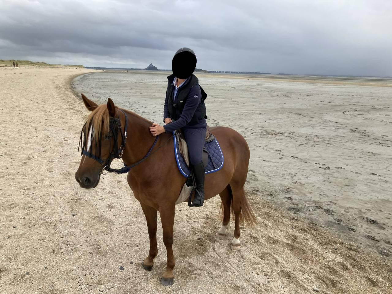 Jument &agrave; vendre - 9 ans