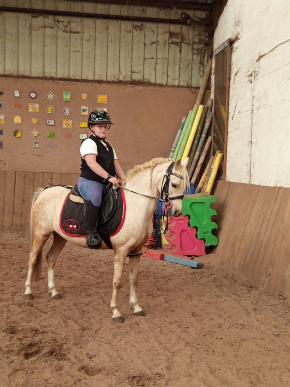 Poney B
