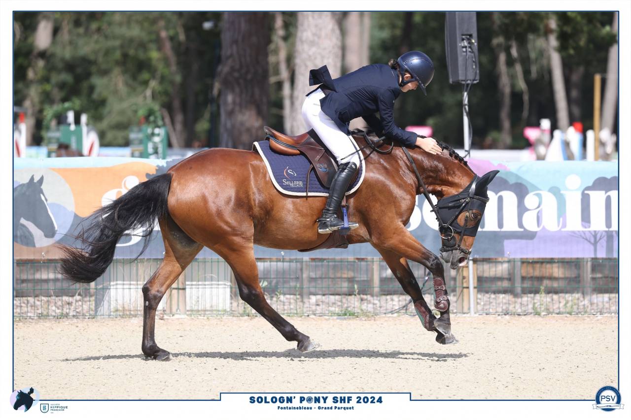 A vendre ponette 8 ans 