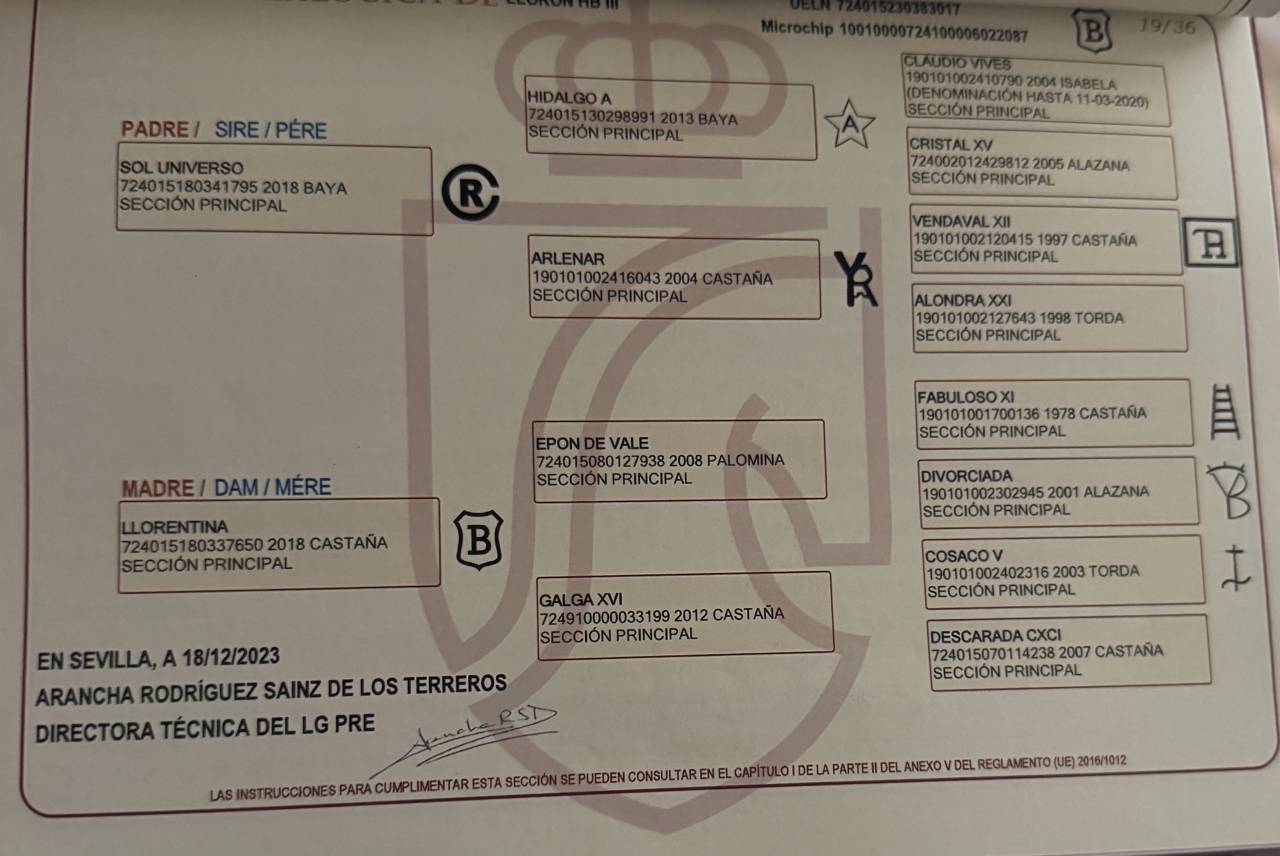 Exceptionnel PRE plein papier espagnol 