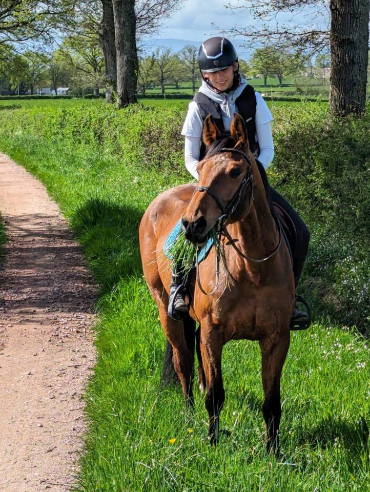 Cheval Jument Selle Fran&ccedil;ais