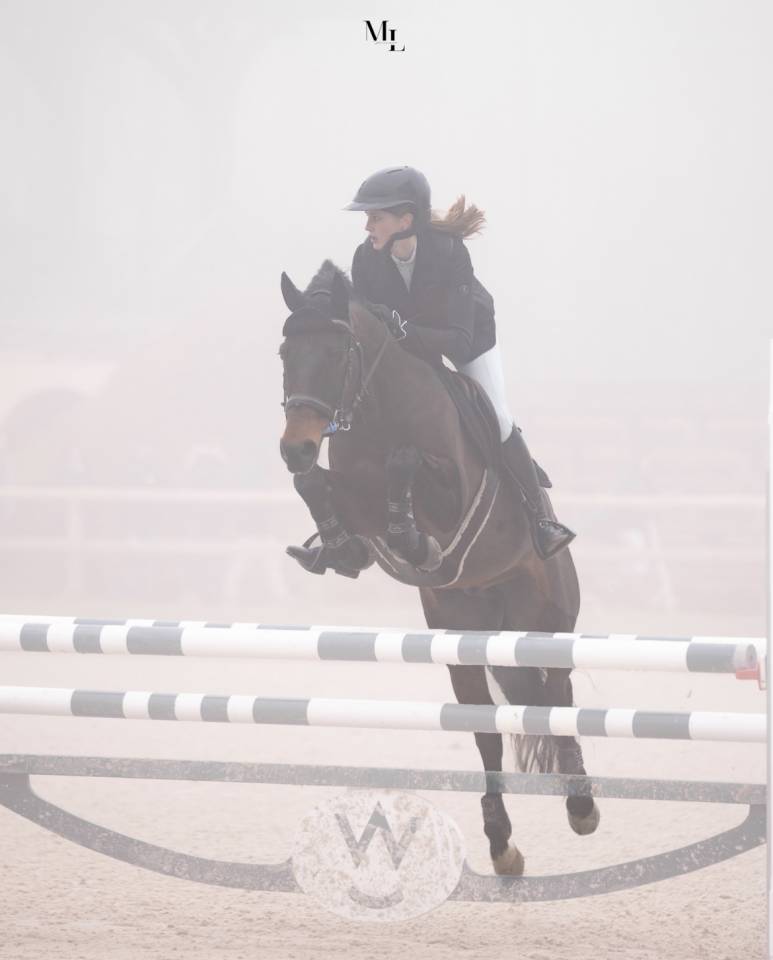 Poney &agrave; vendre ‼️