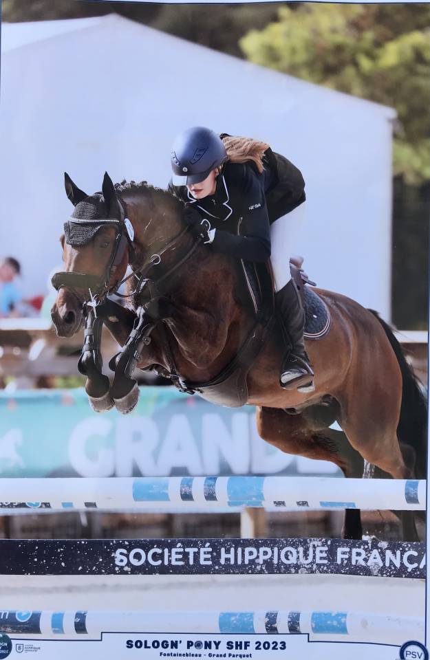 Poney &agrave; vendre ‼️