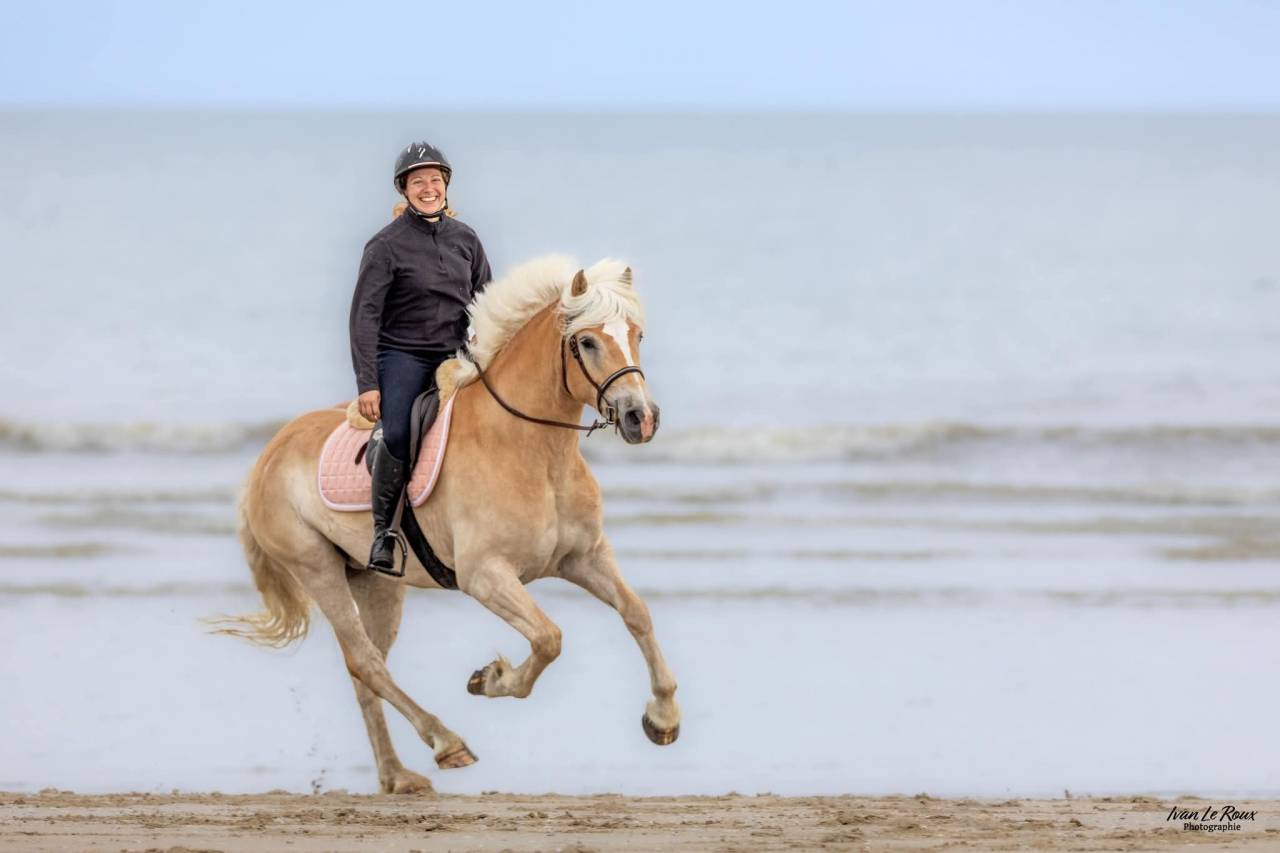 Cheval hongre 6 ans 1m58 polyvalent 