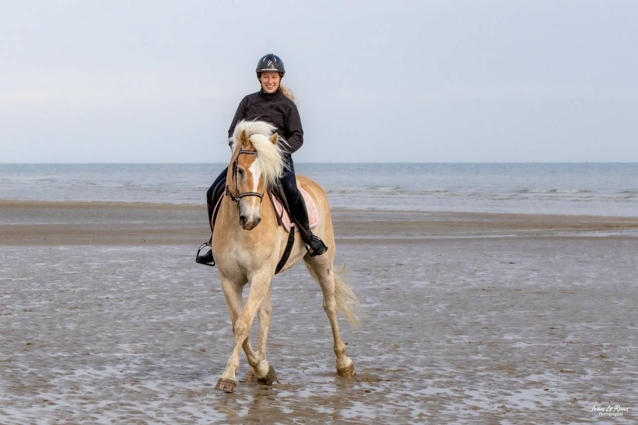 Cheval hongre 6 ans 1m58 polyvalent 