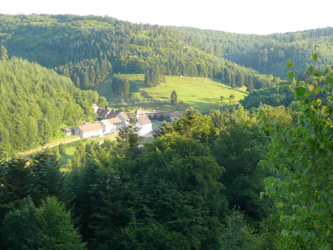 Prestataire &eacute;quith&eacute;rapeute ou &eacute;quicien(e)