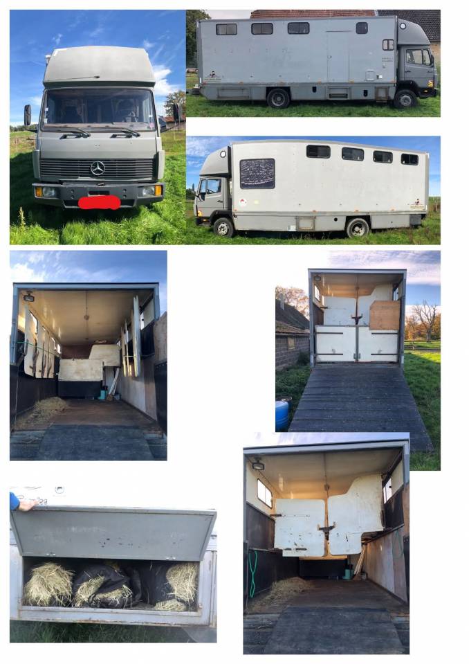 Camion chevaux 7 places & home-car 