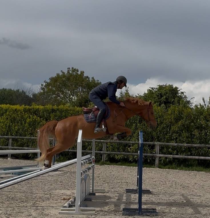 Tarzan - Un partenaire sportif chic et facile 