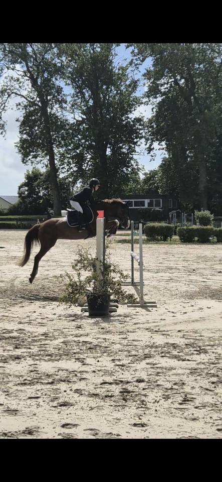 Ponette de 7 ans 