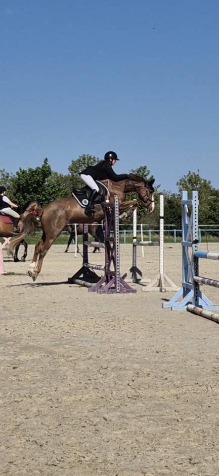 Ponette de 7 ans 