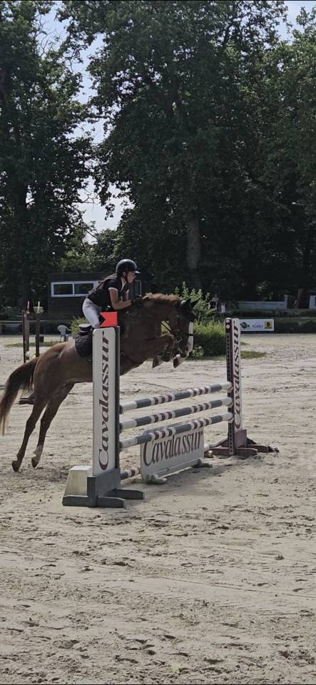 Ponette de 7 ans 