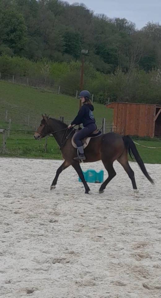 Poney hors c&ocirc;te 