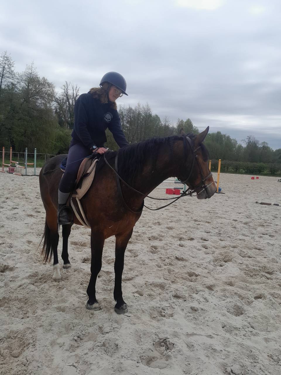 Poney hors c&ocirc;te 