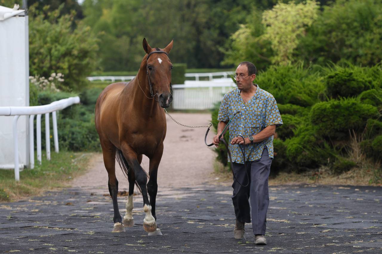 JEUNE AKHAL TEKE ENTIER ASOUM