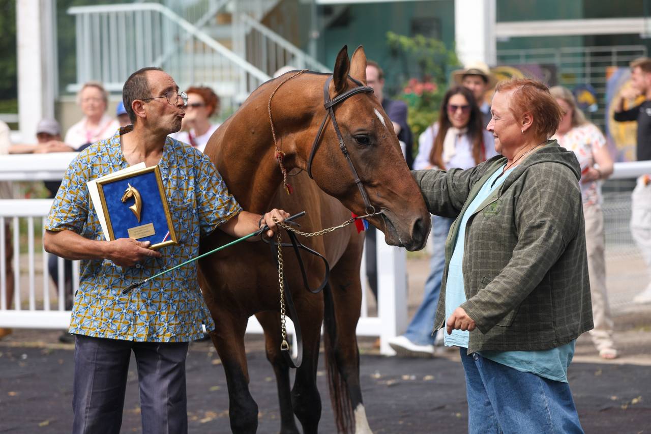 JEUNE AKHAL TEKE ENTIER ASOUM