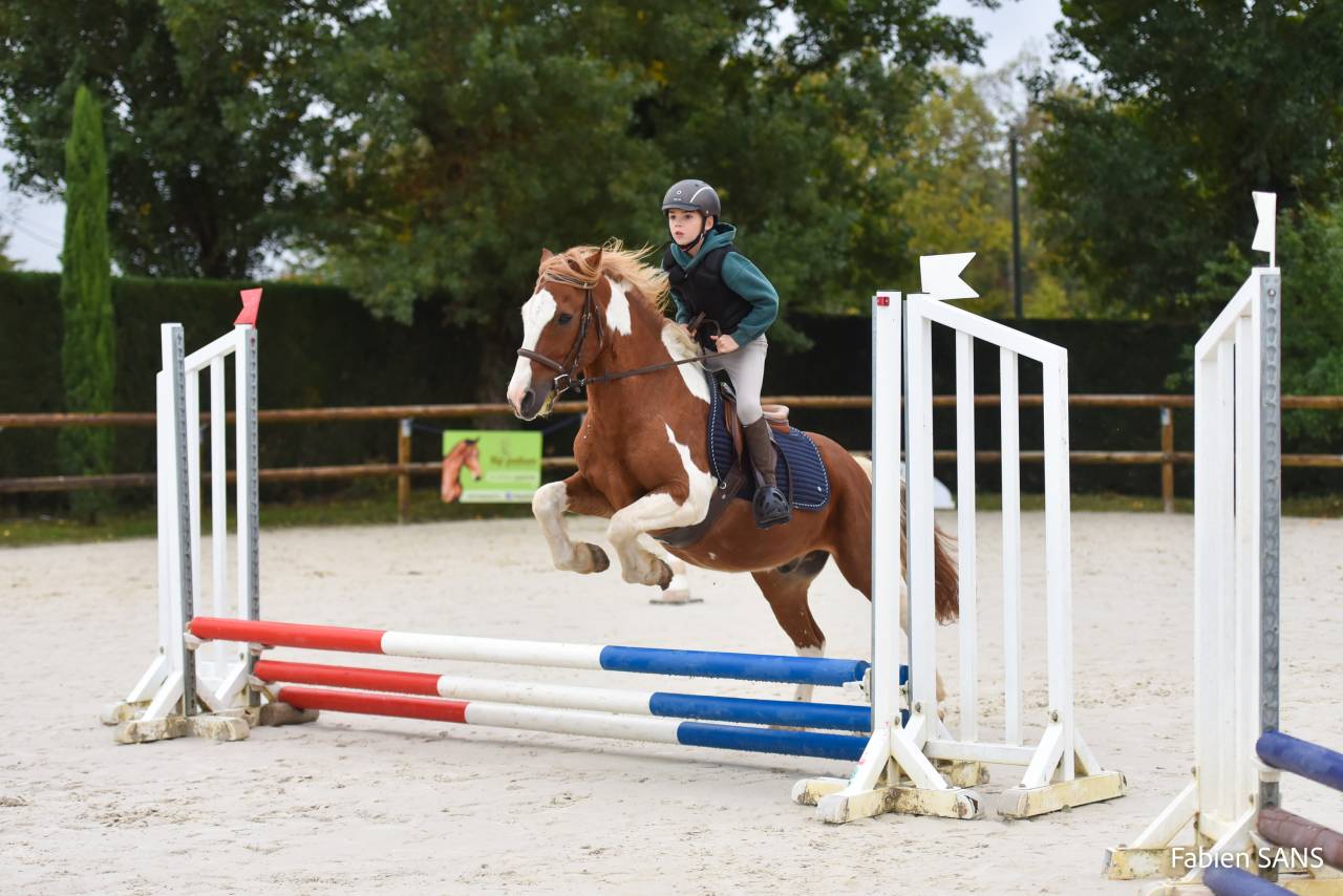 Poney pour pr&eacute; retraite 
