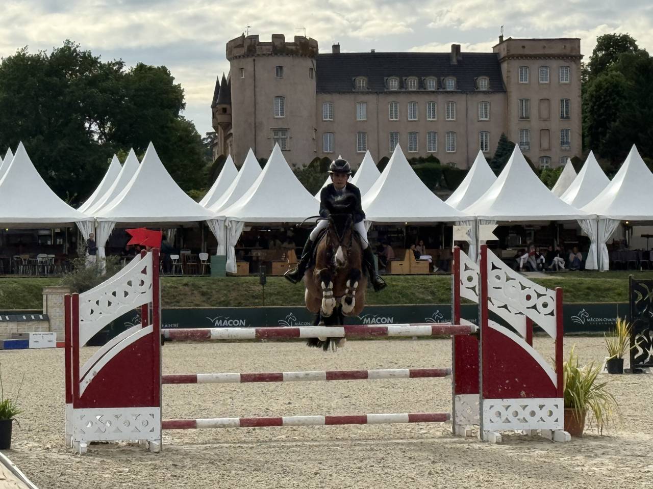 Poney d&rsquo;avenir &agrave; vendre 