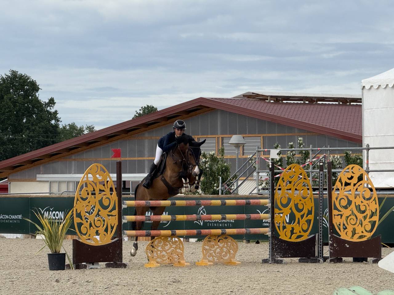 Poney d&rsquo;avenir &agrave; vendre 