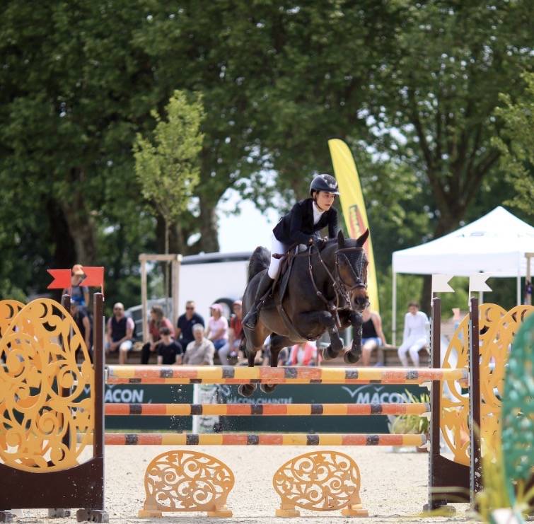 Poney d&rsquo;excellence &agrave; vendre 