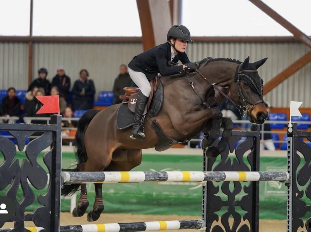 Poney d&rsquo;excellence &agrave; vendre 